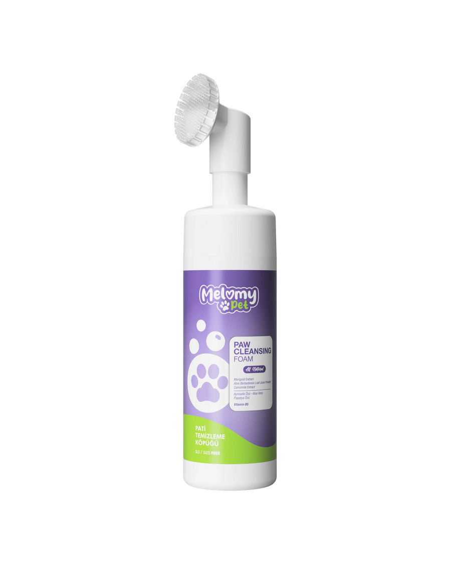 Pati Temizleme Köpüğü 150 ml